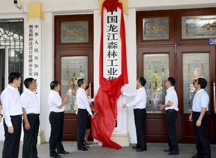 2018年6月30日，中國龍江森林工業(yè)集團(tuán)有限公司掛牌儀式。