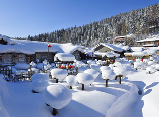 龍江森工集團(tuán)，中國雪鄉(xiāng)景區(qū)。