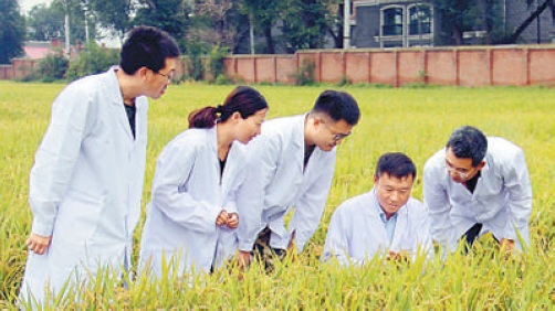 聶守軍：甘愿做一粒扎根泥土的種子