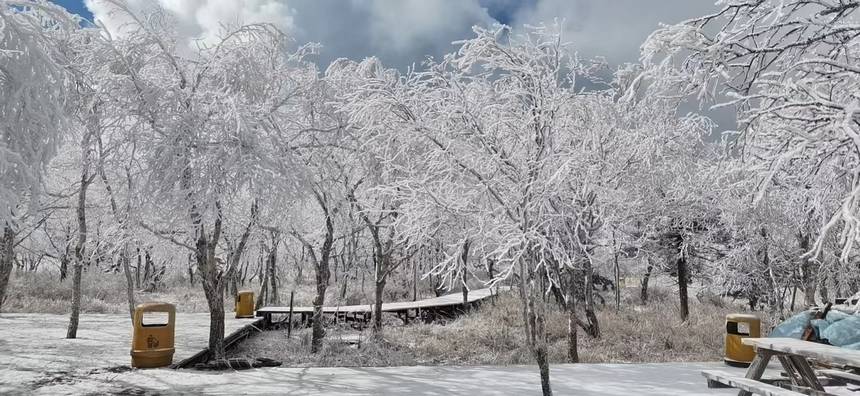 五花山披銀裝 黑龍江鳳凰山迎初雪