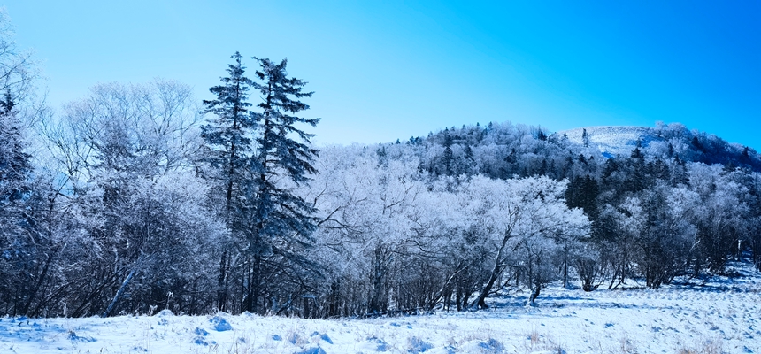 黑龍江亞雪公路迎入秋最大降雪?冰雪畫廊一步一景