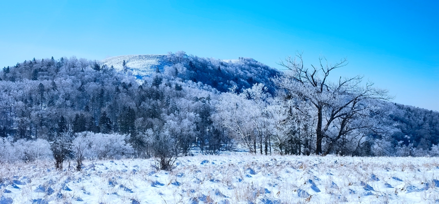 黑龍江亞雪公路迎入秋最大降雪?冰雪畫廊一步一景