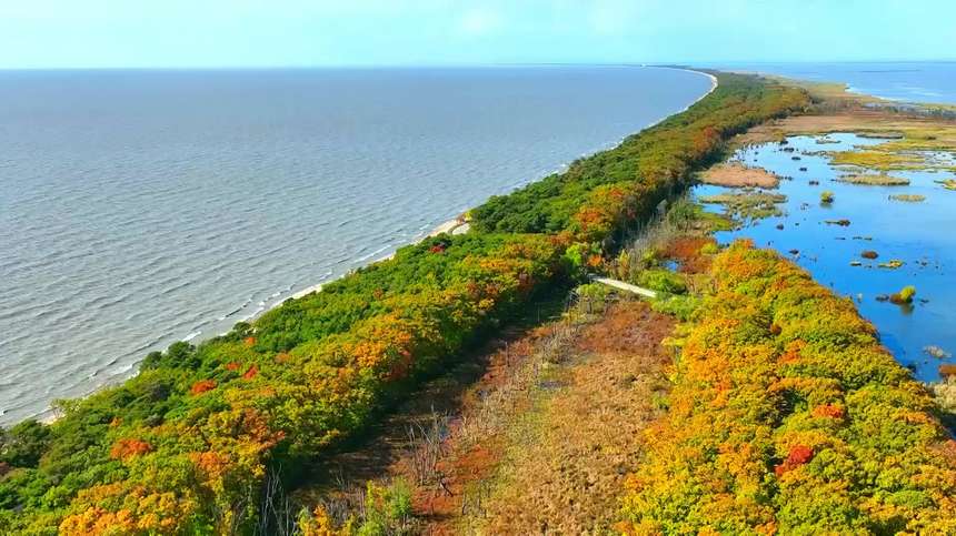 黑龍江：興凱湖百里湖崗?五花山色醉游人