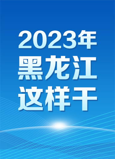 2023年黑龍江這么干