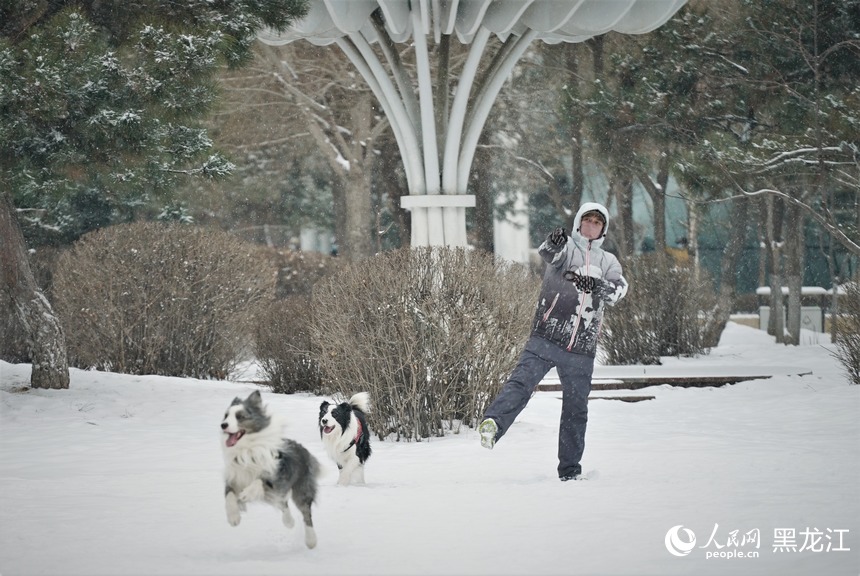 哈爾濱迎春雪 市民暢玩樂趣多