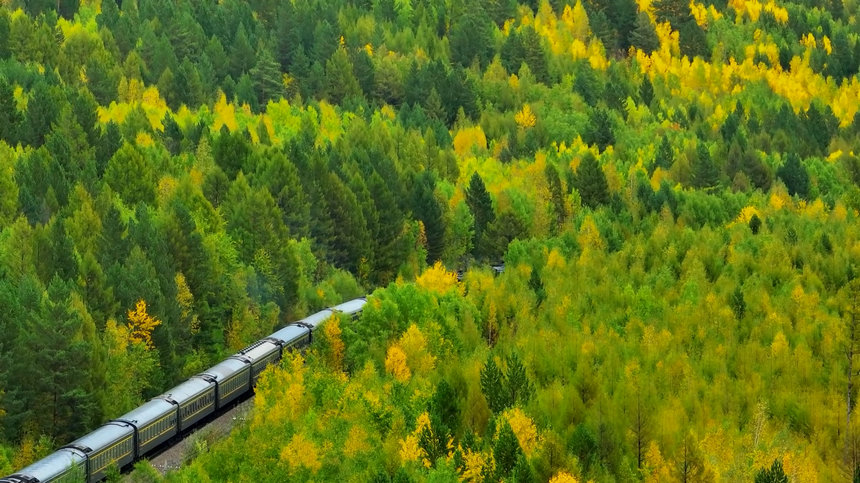 穿林海過群山 賞黑龍江秋季五花山色