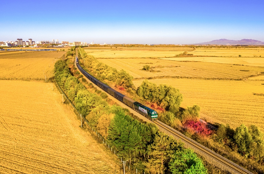 9月至10月中國鐵路哈爾濱局集團(tuán)有限公司完成糧食運輸771萬噸