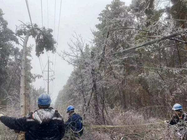 牡丹江供電公司搶修電路。牡丹江市委新聞中心供圖