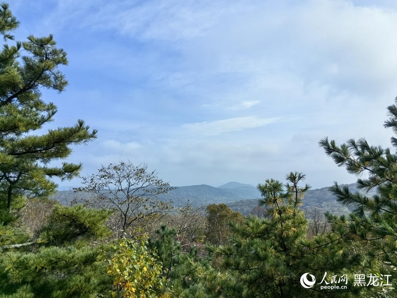 金龍山國(guó)家森林公園。人民網(wǎng) 尚城攝